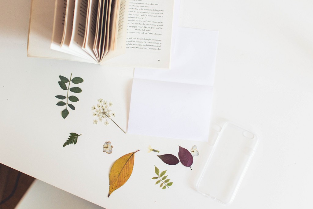 dried pressed flowers for phone case diy