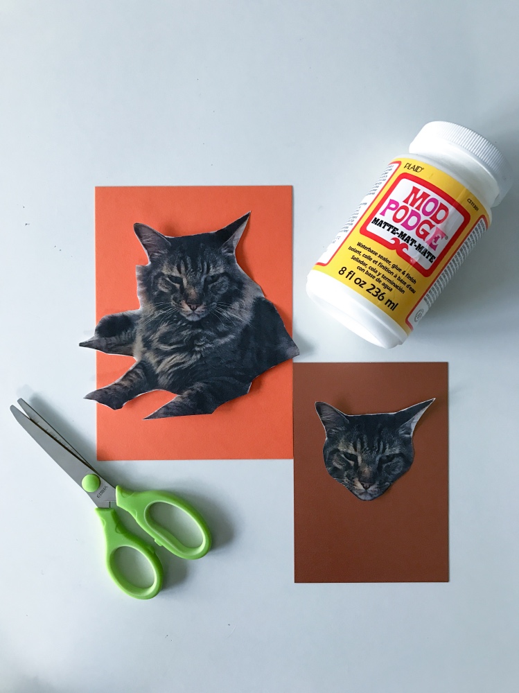 #shop how to make halloween inspired cards with your cats pop shop america