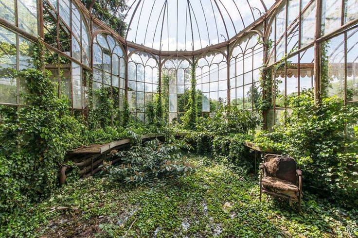 abandoned greenhouse garden with overgrown plants