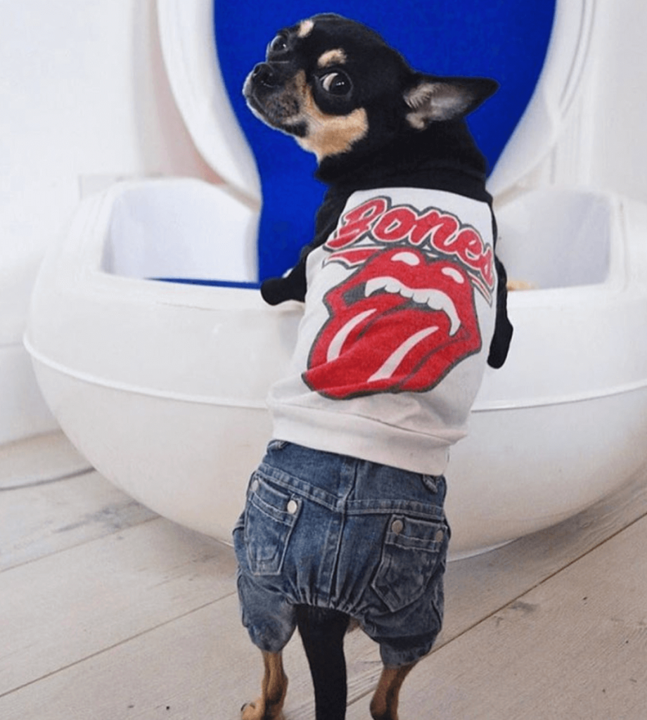 bones rock and roll dog t-shirt doggie clothing pop shop america