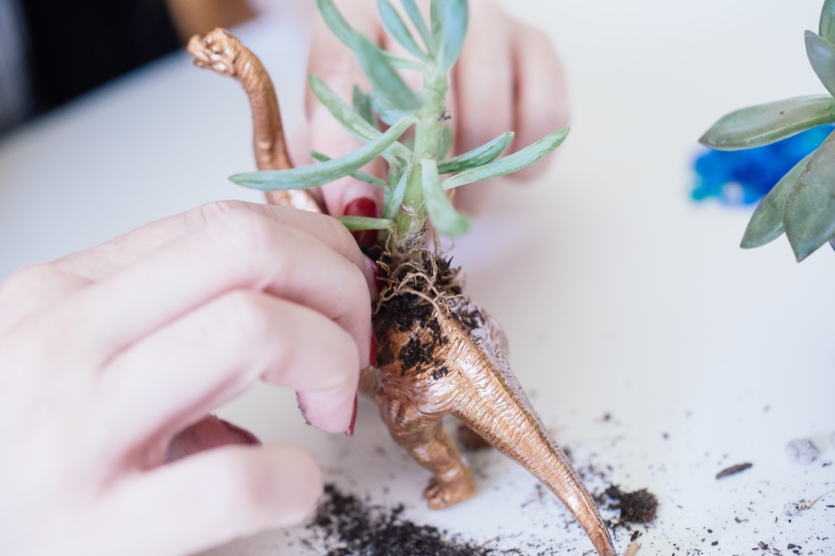 place the succulent in the diy dino planter craft in style subscription box