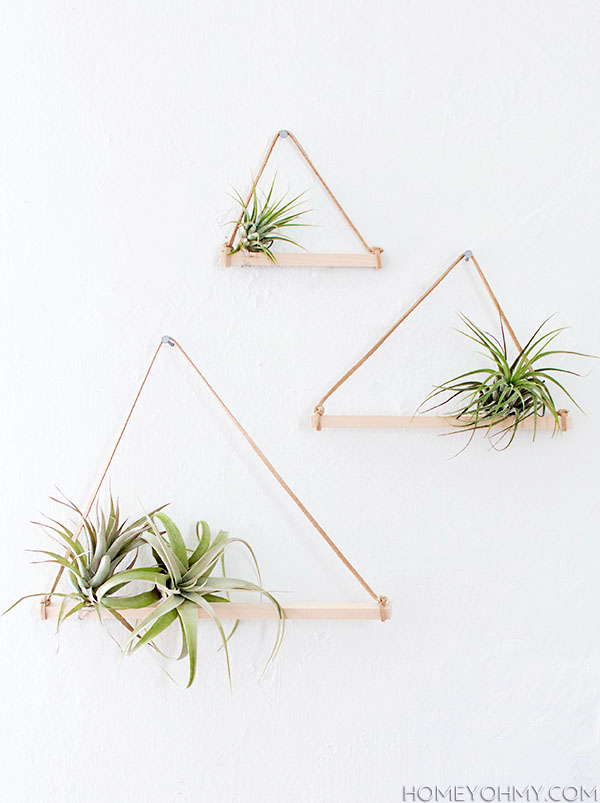 Air-Plant-shelves in wood and leather