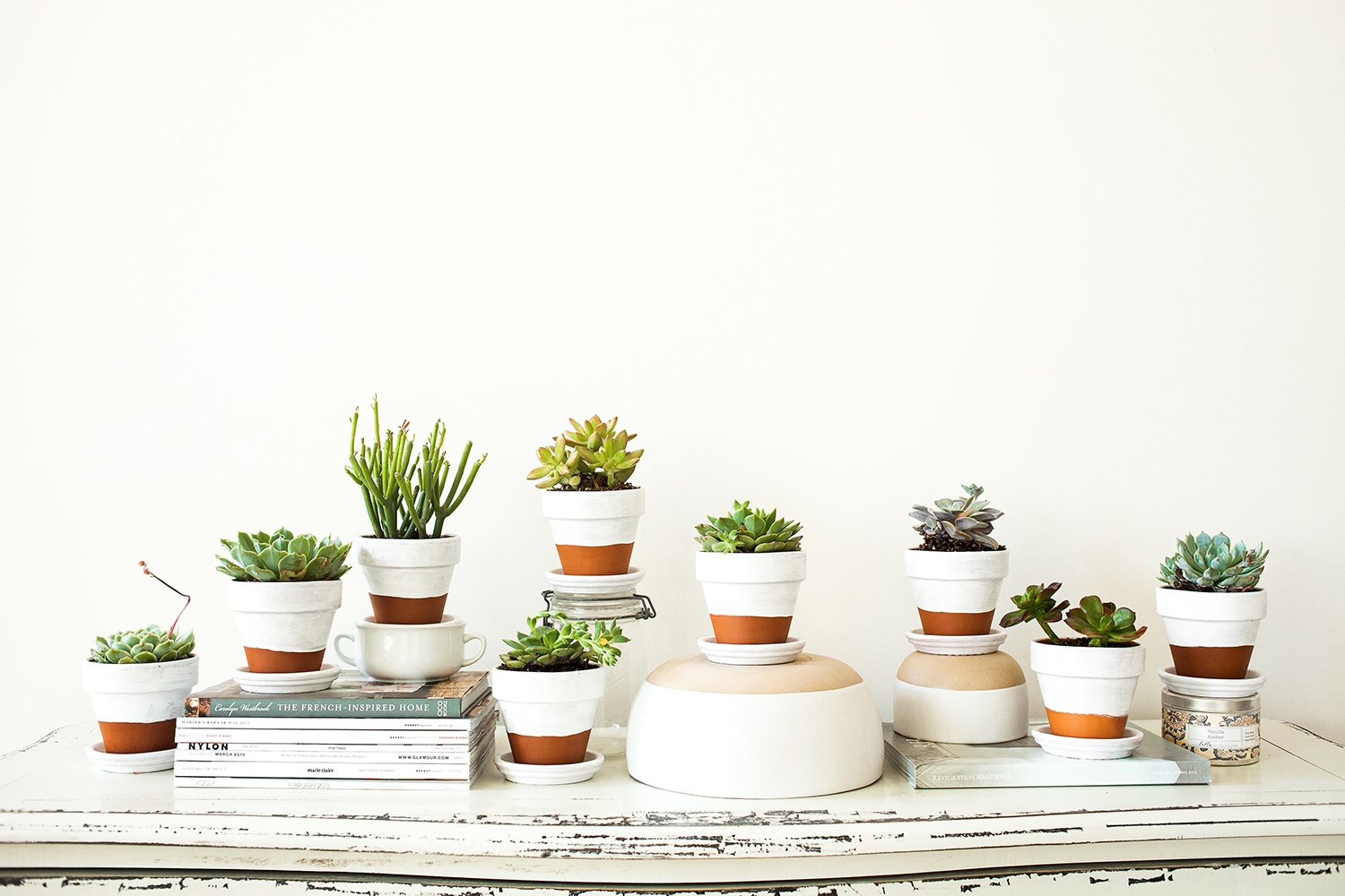 Painted-Pots-+-Succulents-7
