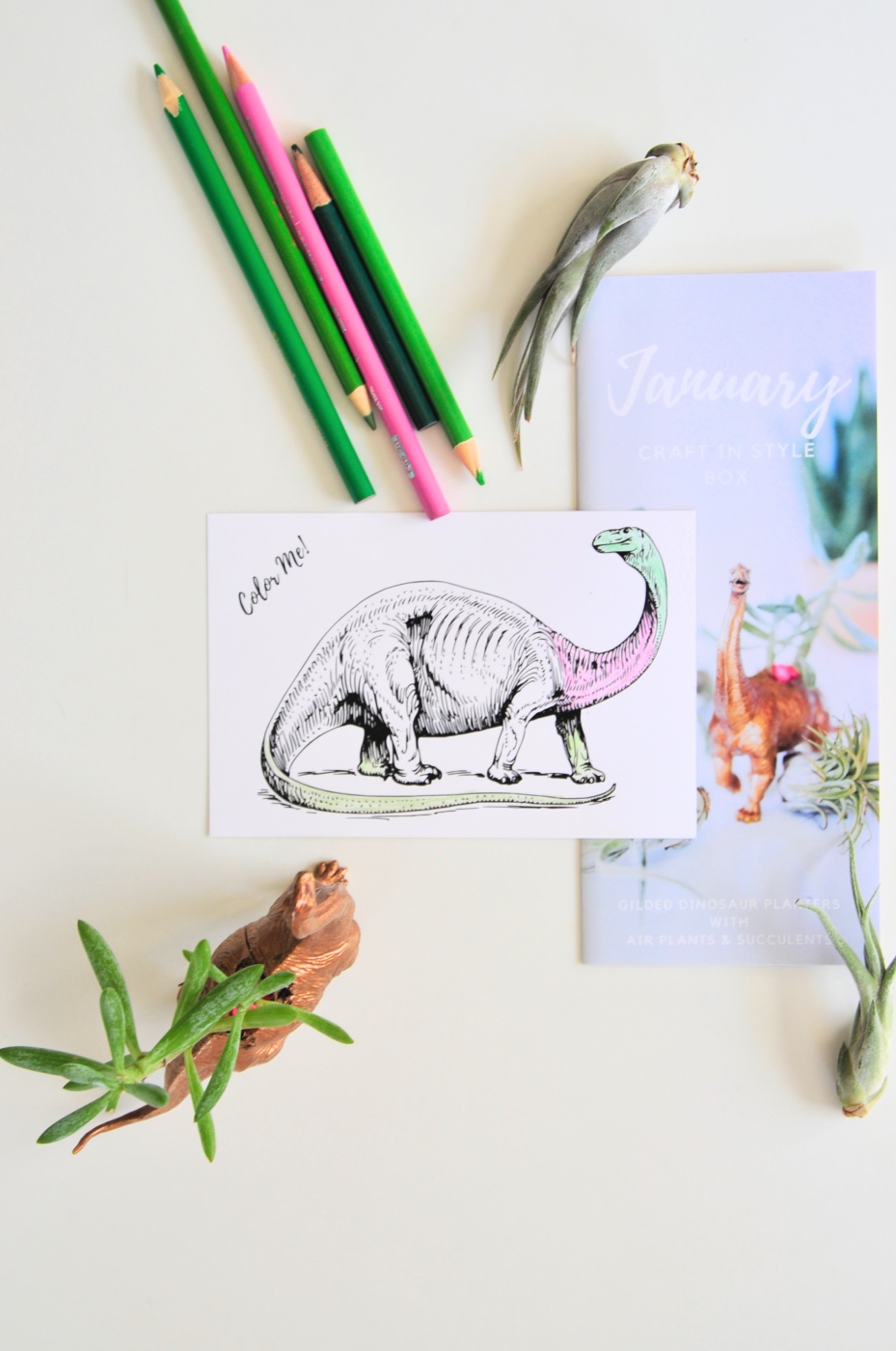 coloring sheet with brontosaurus dinosaur pop shop america