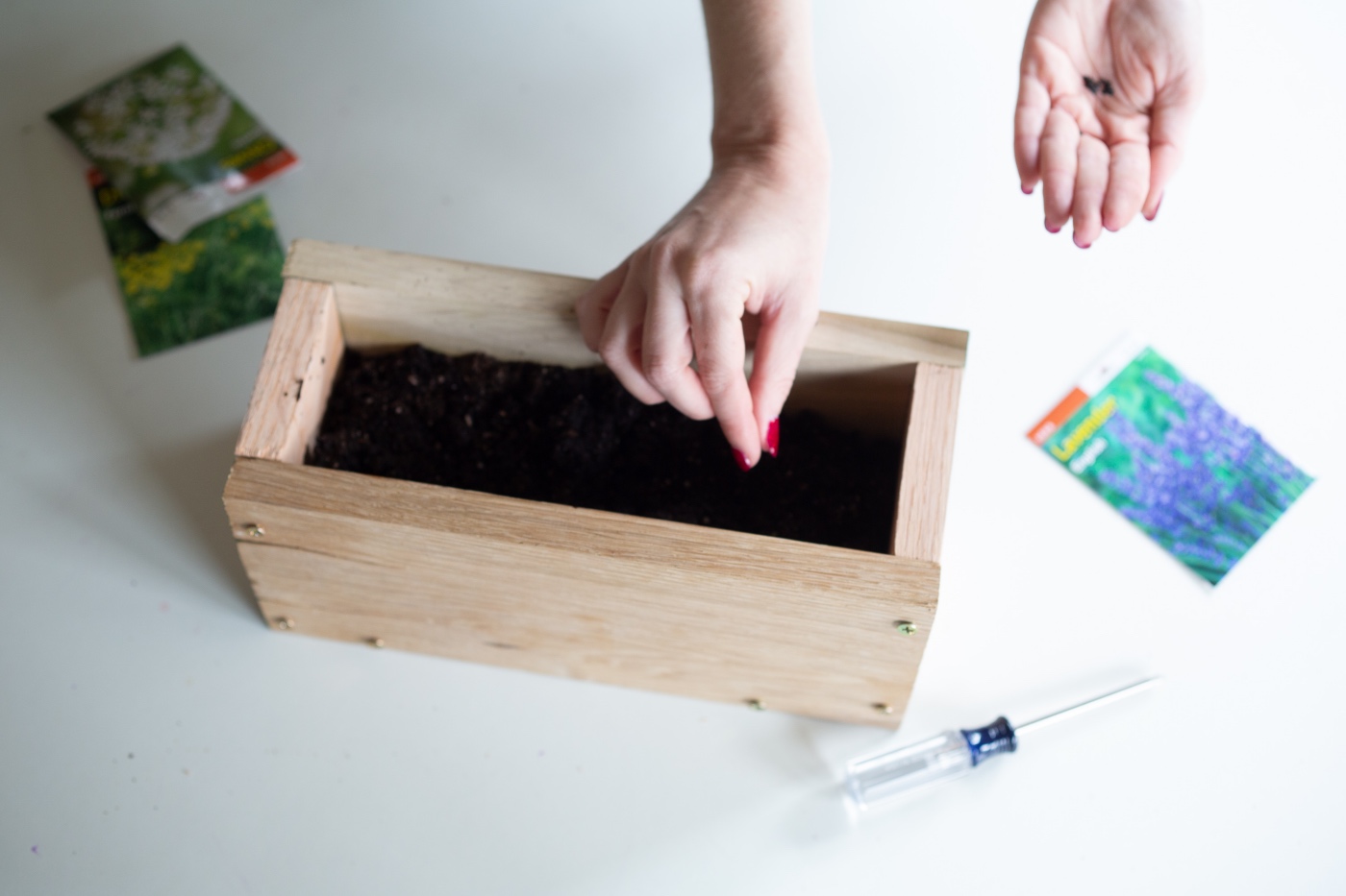 how to plant herb seeds in the diy wood planter box