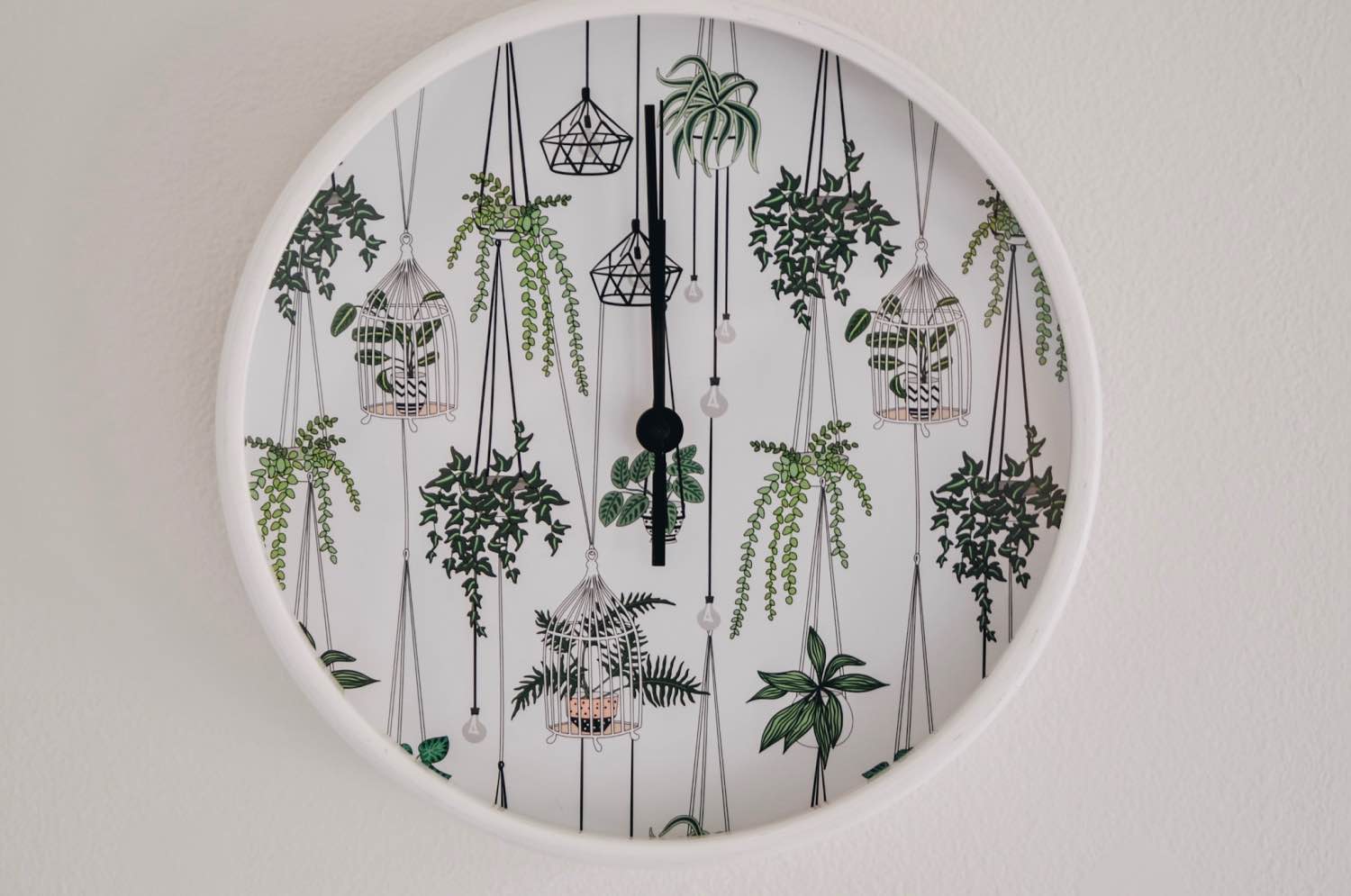 close up detail of terrarium clock from society6