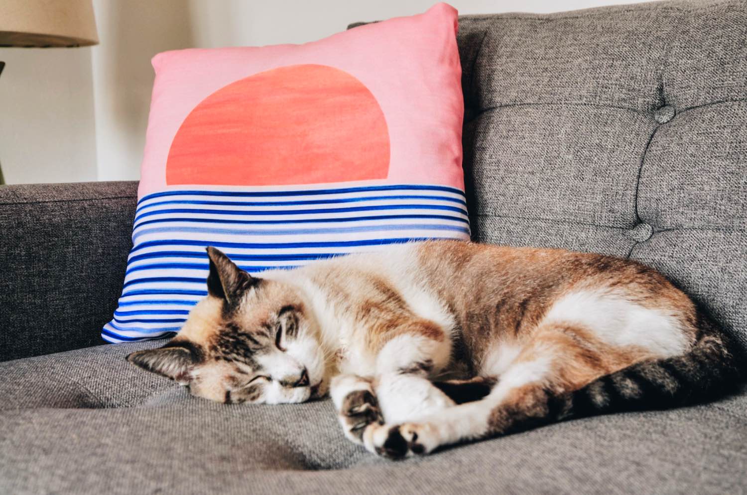 handsome the cat sleeping with a society6 pillow