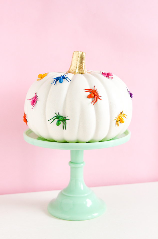 rainbow-spider-pumpkin-the-crafted-life