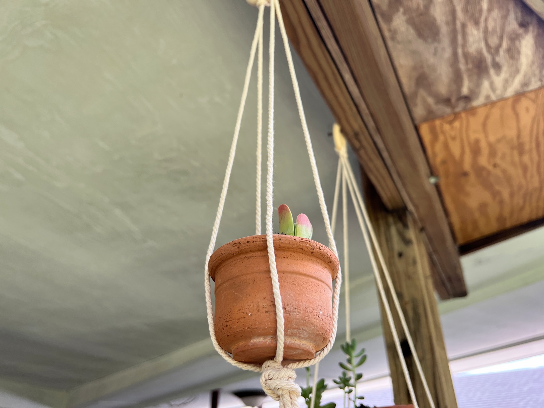 finished diy macrame hanging planter