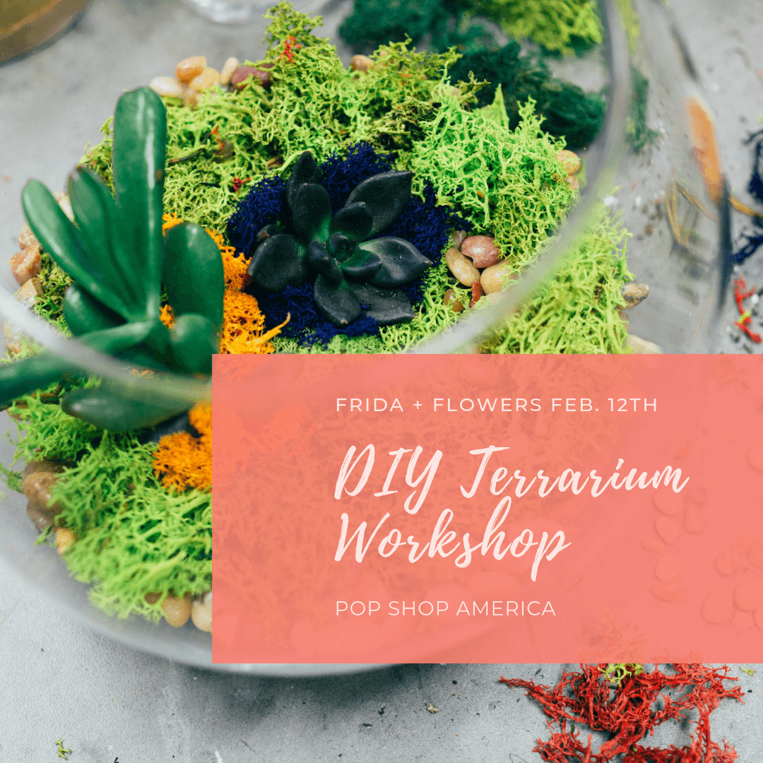 diy terrarium workshop houston at frida and flowers