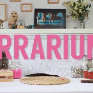 Terrariums Video Still | Title Screen for How to Make a Succulent Terrarium Instructional Video by Pop Shop America