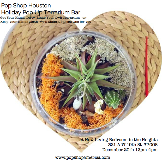 Succulent Terrariums and Glass Terrariums in Houston TX | Join Pop Shop Houston at our Terrarium Event at New Living Bedroom Organic Boutique in Houston Heights