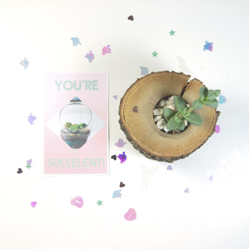 Terrarium Printable Valentine Cards - Pop Shop America DIY Blog