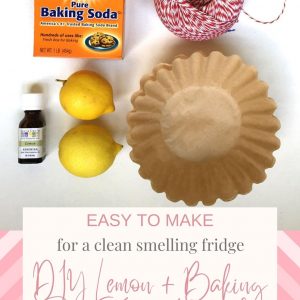 DIY Lemon Refrigerator Refresher for Spring Cleaning Perfection