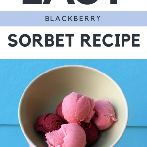 easy diy blackberry sorbet recipe pop shop america