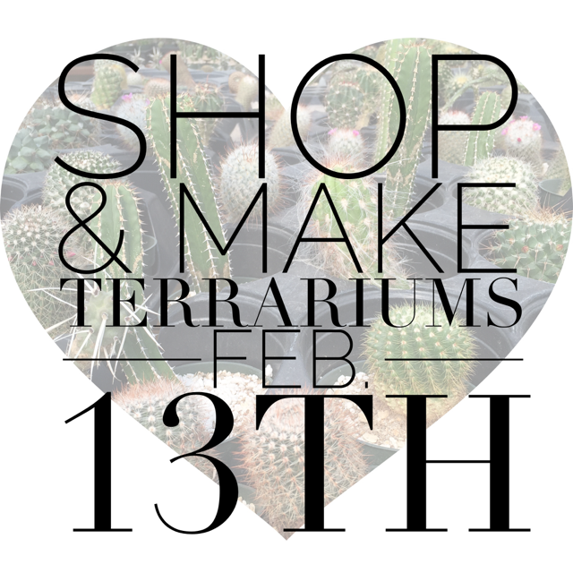Valentine's terrarium bar feb 13th | Glass Terrariums & Succulent Terrariums