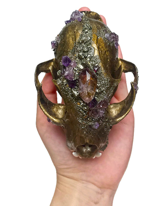Kristin Jarvis Crystal Taxidermy Fairy Skull