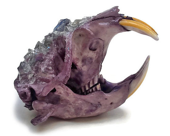 Kristin Jarvis Crystalized Violet Purple Pocket Gopher Skull