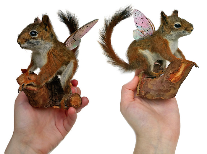 Kristin Jarvis Squirrel Fairy Taxidermy Art