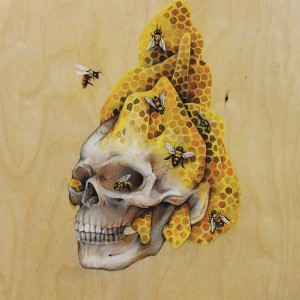 Honeycomb Skull Painting by Anne Byrd Houston Artist