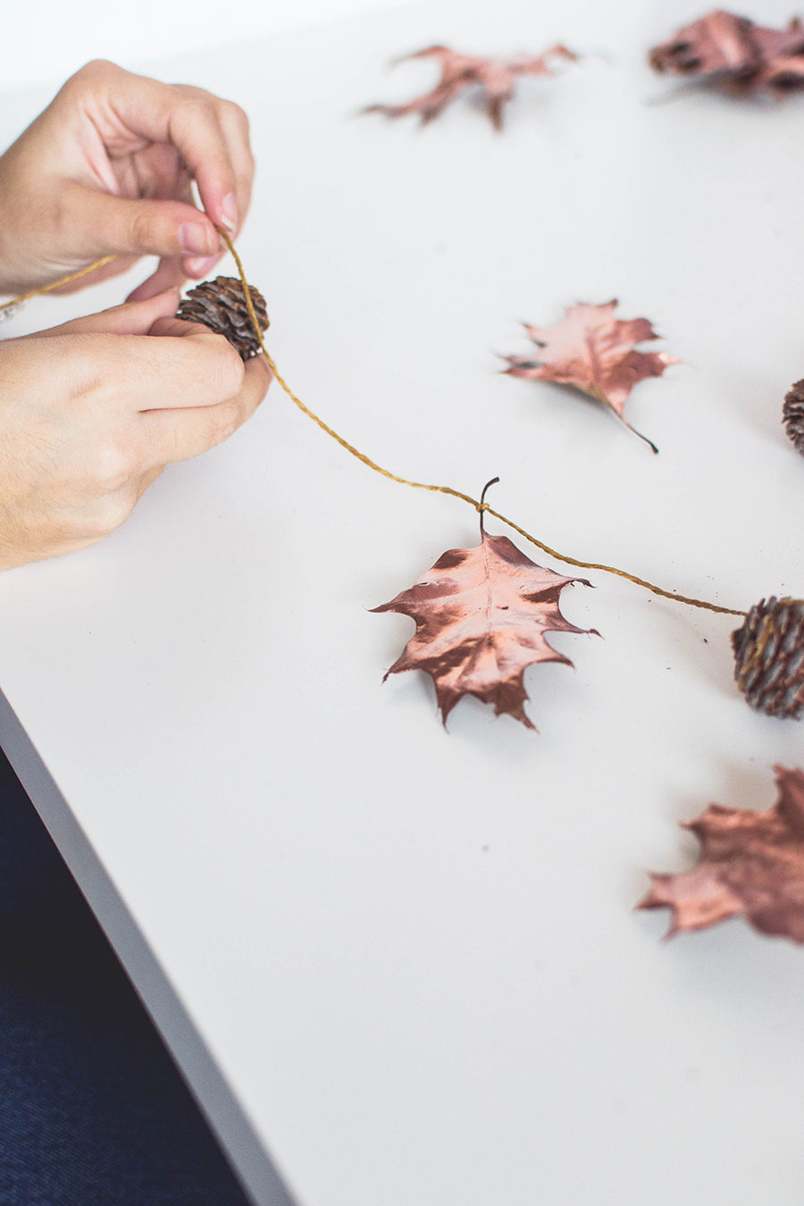 Create an Autumn garland with pinecones and leaves