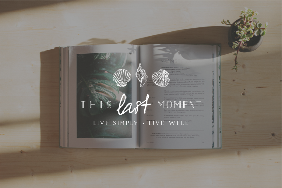 This-Last-Moment-Logo-Miel-Cafe-Design