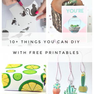 10 + things you can diy with free printables