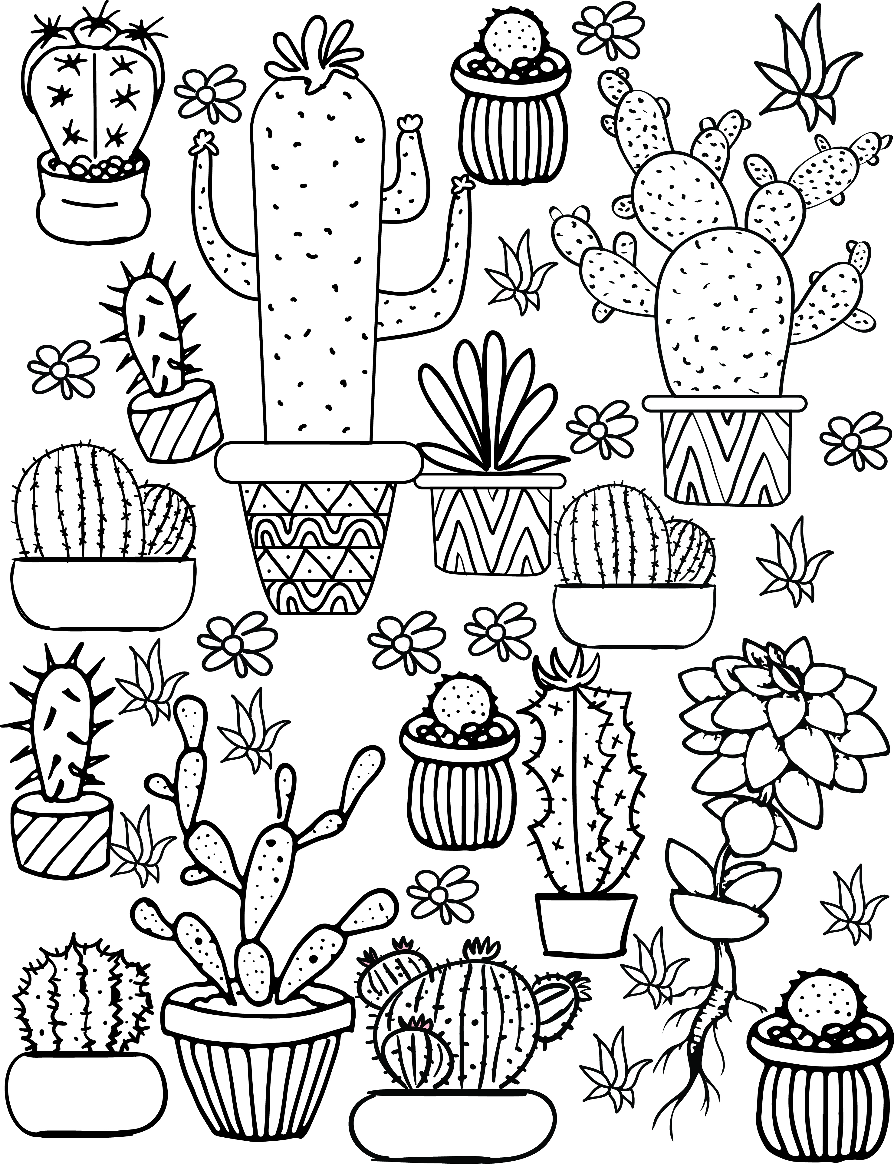 Cactus and Succulent Printable Adult Coloring Pages