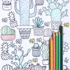Download Adult Coloring Monthly Subscription Box | Pop Shop America