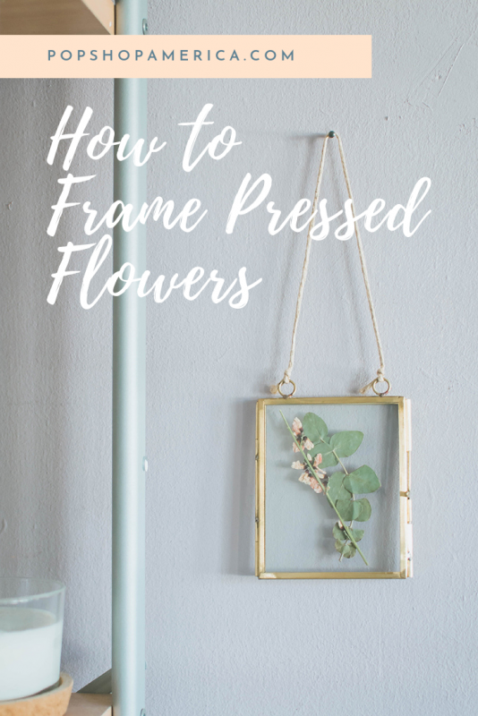 how to frame pressed flowers pop shop america