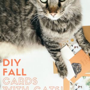diy fall cards with your cats