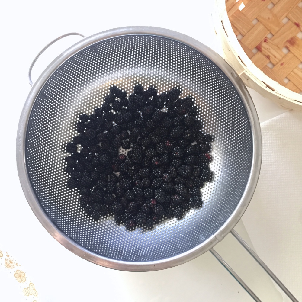 dry berries - how to use vinegar to keep berries fresh pop shop america