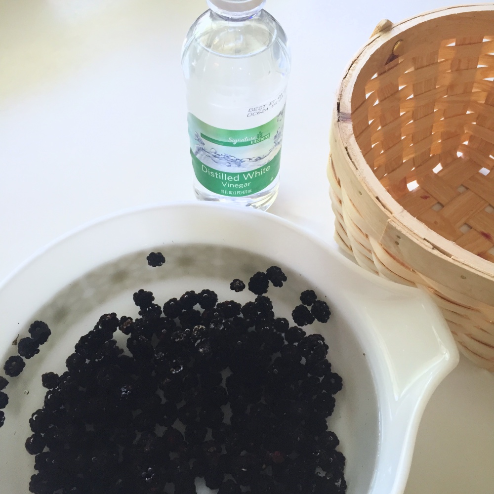soak the berries in vinegar and water to keep them fresh pop shop america