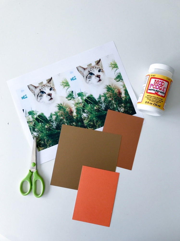 #shop supplies for making fall cards with your cats pop shop america