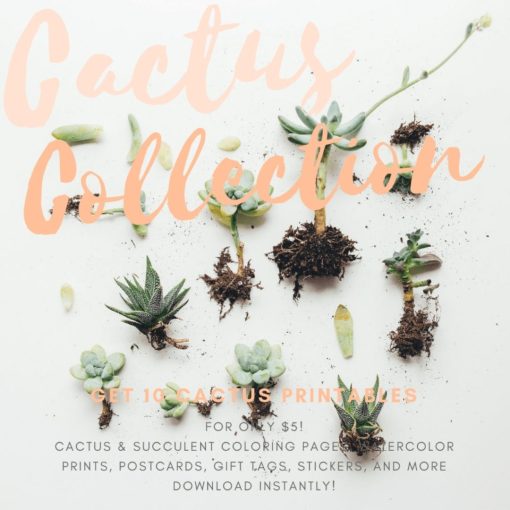 cactus-collection-printables-pop-shop-america-jpg