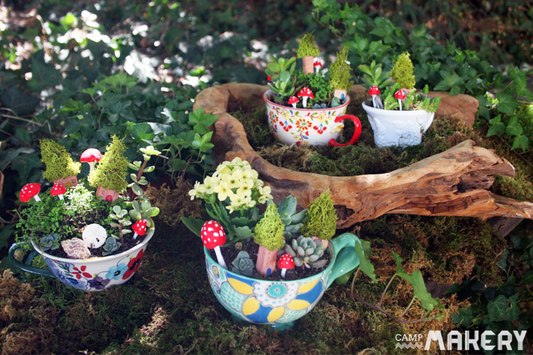 Teacup-Garden-miniature-indoor-plants