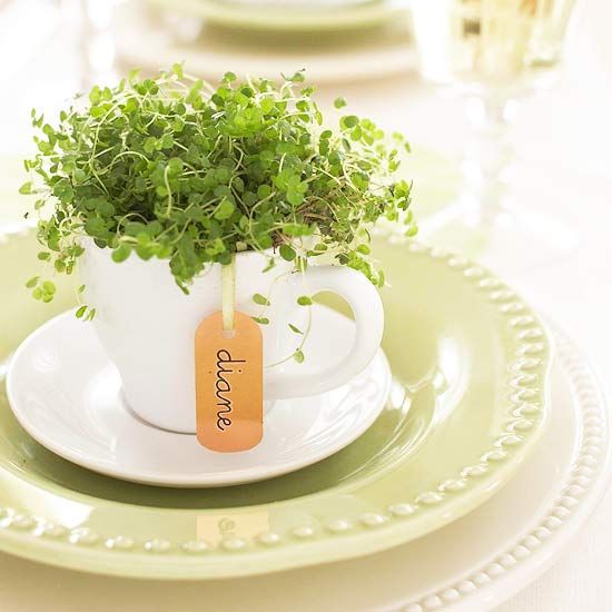 fresh herbs in a teacup indoor container garden