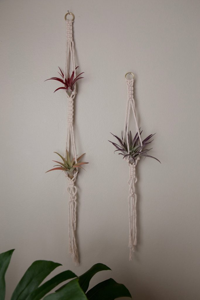 hanging macrame planters for air plants