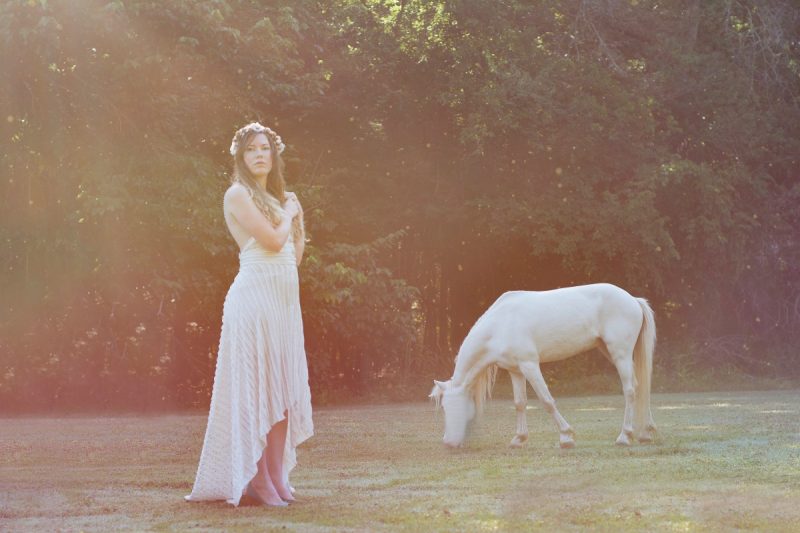 brittany with sun and unicorn photograph