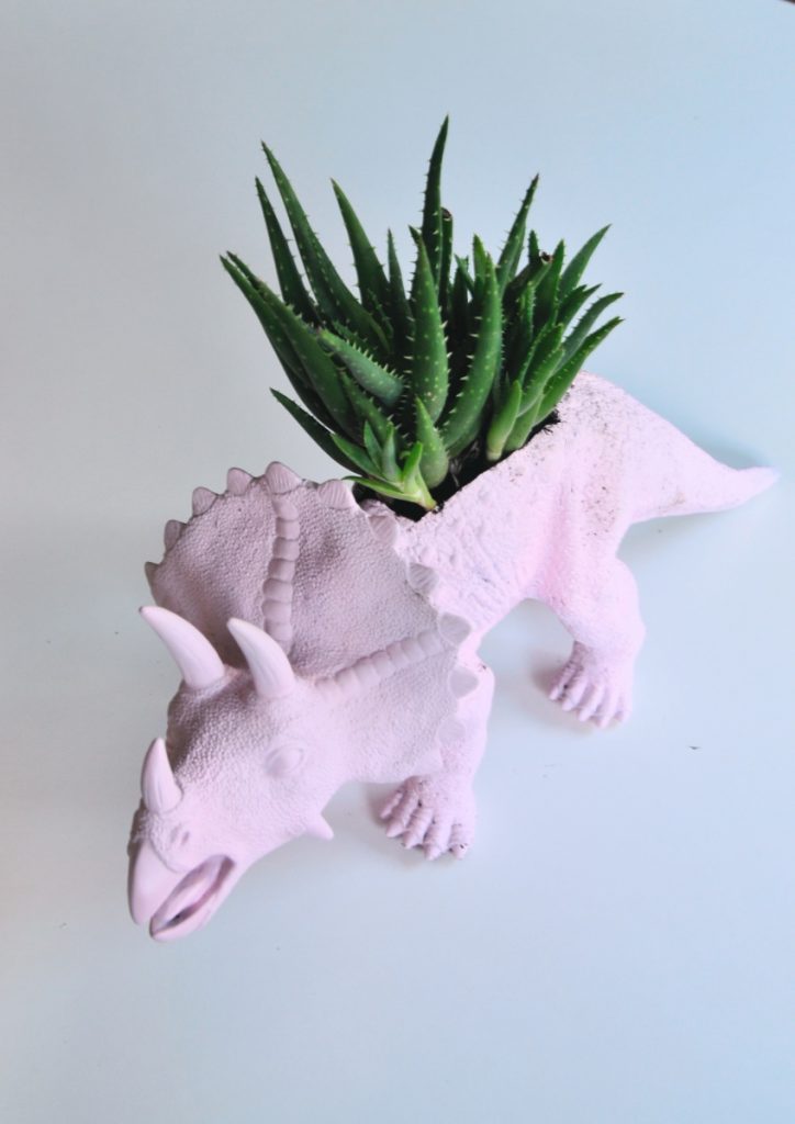 finished featured dino planter diy with succulents pop shop america