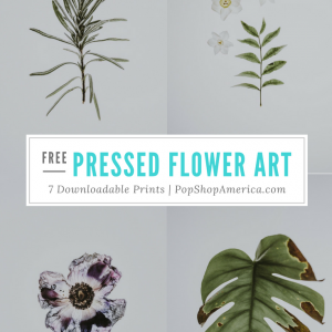 free pressed flower art prints pop shop america