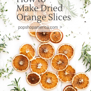 how to make dried orange slices pop shop america