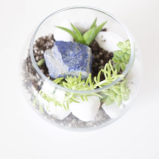 gemstone-terrarium-diy-gardening-kit-pop-shop-america-scaled_square