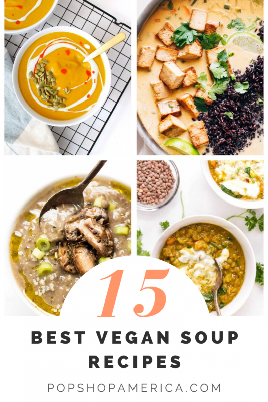 15 best vegan soup recipes pop shop america