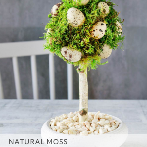 natural moss easter egg topiary diy pop shop america