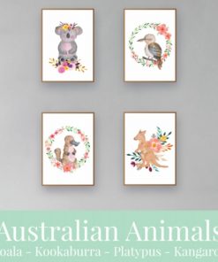 Australian-Watercolor-Animals-and-Wreaths-ver2-square-1
