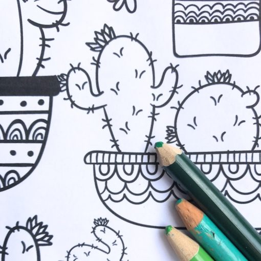 detail-of-free-cactus-and-succulent-adult-coloring-page-printables_square
