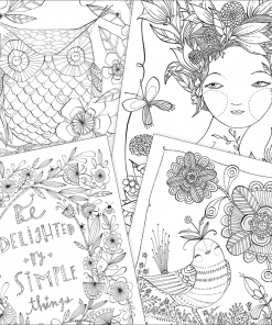 inside adult coloring book wishes wings and wondrous things