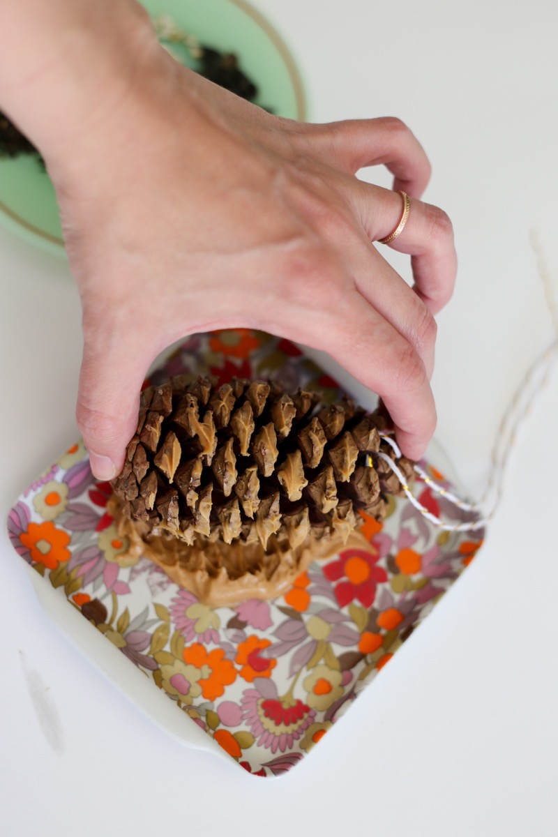 dip the pine cone in peanut butter bird feeder tutorial