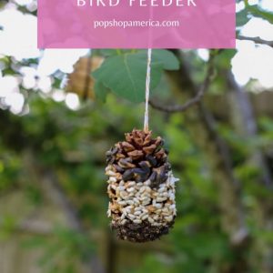 easy-diy-pine-cone-bird-feeder-pop-shop-america-768x1152